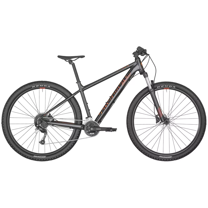Bergamont Revox 4
