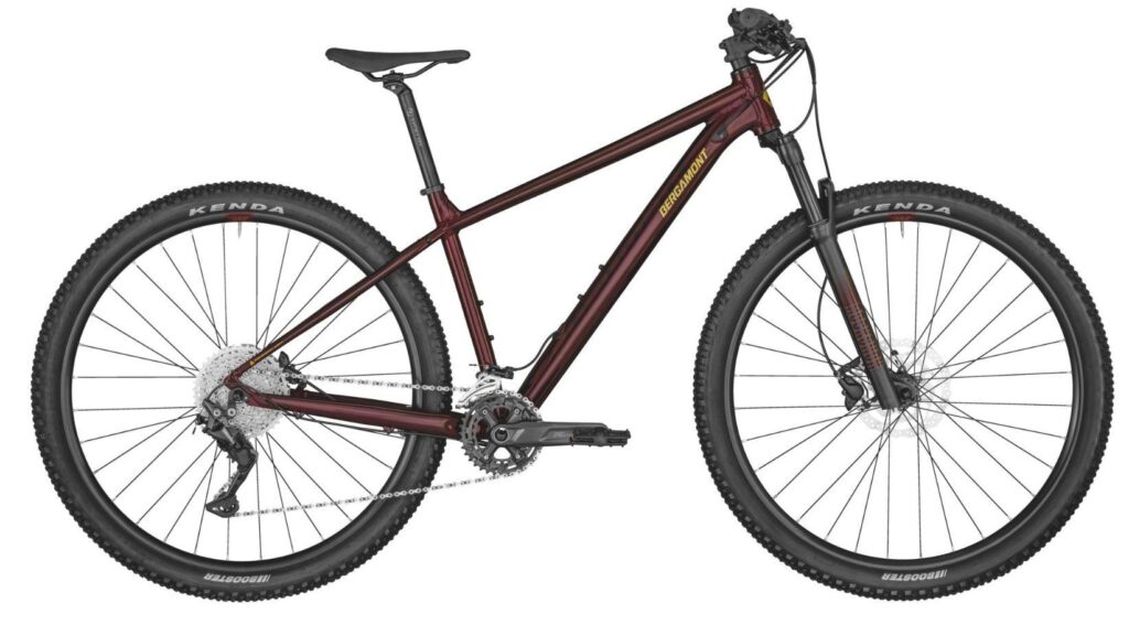 Bergamont Revox 7